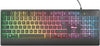 Tastiera gaming Ziva - illuminata - Trust Videogiochi/PC/Accessori/Mouse da gioco Eurocartuccia - Pavullo, Commerciovirtuoso.it