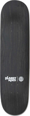 Tavola Skate Element Pota Monarch 8.125'' Tavola Skateboard 7 Strati Acero Canadese Resinati Sport e tempo libero/Sport/Mobilità urbana/Skateboard/Componenti/Tavola Snotshop - Roma, Commerciovirtuoso.it