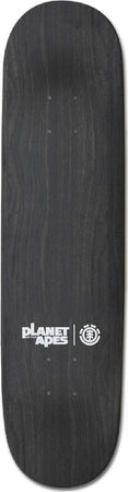 Tavola Skate Element Pota Monarch 8.125'' Tavola Skateboard 7 Strati Acero Canadese Resinati Sport e tempo libero/Sport/Mobilità urbana/Skateboard/Componenti/Tavola Snotshop - Roma, Commerciovirtuoso.it