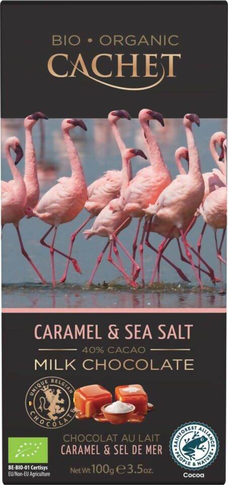 Tavoletta di cioccolato Cachet bio 100g caramello e sale del mare biologico