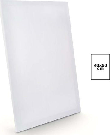 TELA PER DIPINGERE CANVAS RETTANGOLARE 40X50 CM ARTICO DISEGNO ARTE PITTURA  Trade Shop italia - Napoli, Commerciovirtuoso.it