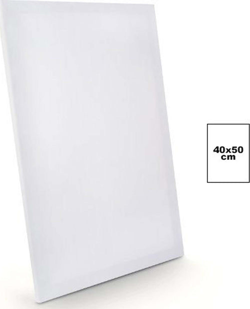 TELA PER DIPINGERE CANVAS RETTANGOLARE 40X50 CM ARTICO DISEGNO ARTE PITTURA  Trade Shop italia - Napoli, Commerciovirtuoso.it