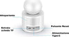 Telecamera-IP-WIFI-con-Videochiamata-visione-IR-HD-TF-AUDIO-DISPLAY-LCD-2.8''---c31