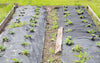 Telo-Antierbacce-telo-anti-pacciamatura-telo-Anti-Erbacce-Ground-Cover-1,6x10-mt