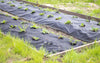 Telo-Antierbacce-telo-anti-pacciamatura-telo-Anti-Erbacce-Ground-Cover-1,6x10-mt
