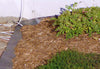 Telo-Antierbacce-telo-anti-pacciamatura-telo-Anti-Erbacce-Ground-Cover-1,6x10-mt