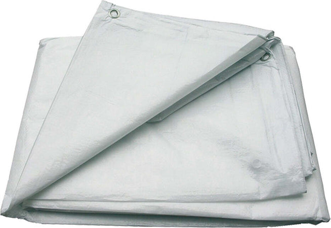 TELO-ANTIPOLVERE-PER-PONTEGGIO-mt-1,8-x-10-Biacchi-Ettore