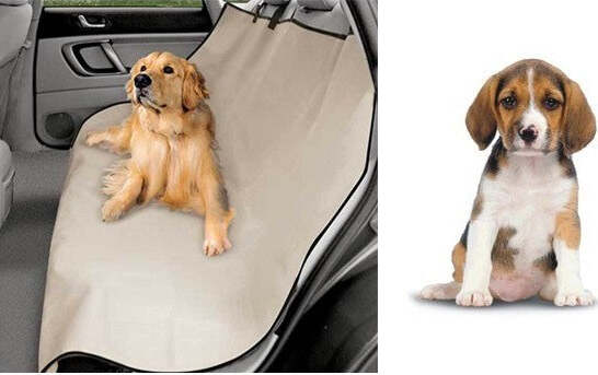 TELO COPRI SEDILE PER AUTO MACCHINA IMPERMEABILE PER CANI GATTI PET ZOOM LOUNGEE  Trade Shop italia - Napoli, Commerciovirtuoso.it