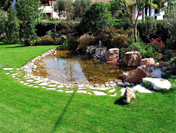Telo Laghetto in Pvc Rinforzato Marrone Metri 3 x 4 Garanzia 15 anni Giardino e giardinaggio/Decorazioni per il giardino/Stagni e giardini acquatici/Basi e guarnizioni/Rivestimenti isolanti Ogomondo - Martina Franca, Commerciovirtuoso.it