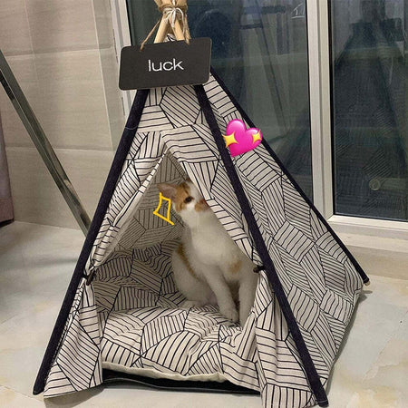 Tepee Letto Cuscino Lavagna Rimovibile Lavabile Portatile Per Animali 50x50x70cm Prodotti per animali > Prodotti per Cani > Cucce Trade Shop italia - Napoli, Commerciovirtuoso.it