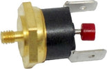 TERMOSTATO FERRO DA STIRO 152°C RIARMO MANUALE FASTON DA 6,3 mm A VITE - Casa e cucina/Ferri da stiro e accessori/Accessori per ferro e asse da stiro/Accessori per generatori di vapore Rossi Ricambi - Venetico Marina, Commerciovirtuoso.it