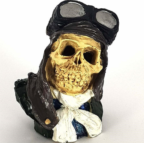 Teschio Pirati Roccioso  Occhiali Giardino Sottomarino Ornamento Acquario Prodotti per animali domestici/Pesci e animali d'acqua/Arredo per acquario/Oggetti Trade Shop italia - Napoli, Commerciovirtuoso.it