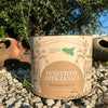 panettone-tesoridisicilia