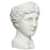 Statua decorativa in poliresina Testa Artemide Porta vaso decorativo h 39 cm