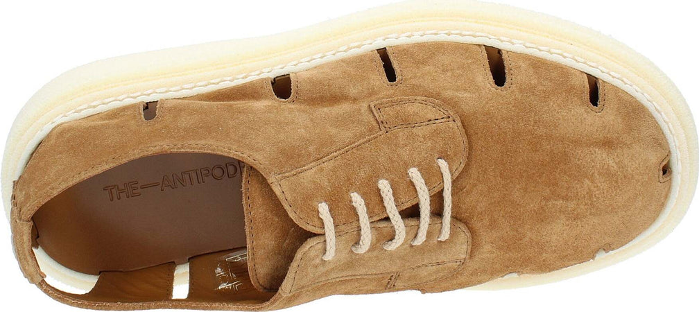 THE-ANTIPODE-Scarpe-basse-Marrone-da-uomo
