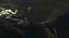 THE-LAST-GUARDIAN-PS4-PL