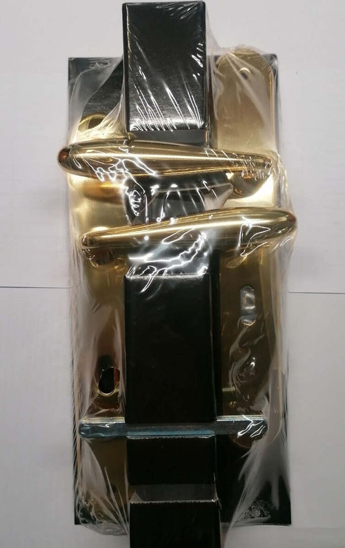 THEMA---1-MANIGLIA-CON-PLACCA-SERIE-CIGNO-ORO-LUCIDO-8X70-ART.-MTH103G0170