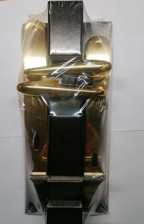 THEMA---1-MANIGLIA-CON-PLACCA-SERIE-SPICA-ORO-LUCIDO-8X90-ART.-MTH103G01