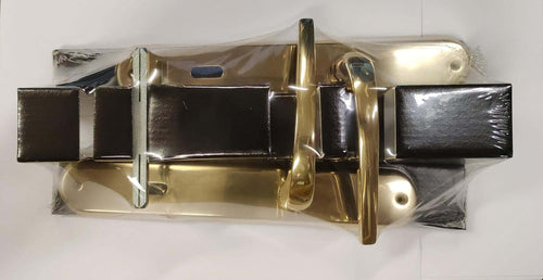 THEMA---MANIGLIA-CON-PLACCA-SERIE-CIGNO-FINITURA-ORO-LUCIDO-FORO-PATENT