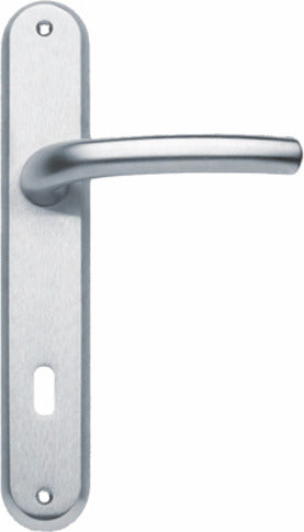 THEMA---MANIGLIA-CON-PLACCA-SERIE-DELTA-CROMO-FORO-PATENT
