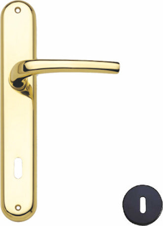 THEMA---MANIGLIA-CON-PLACCA-SERIE-MIRA-FINITURA-ORO-LUCIDO-FORO-PATENT