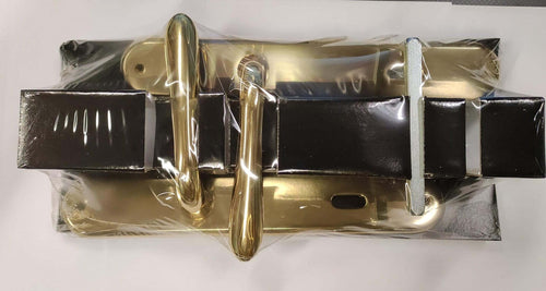 THEMA---MANIGLIA-SCUDO-ORO-LUCIDO-8X90MM