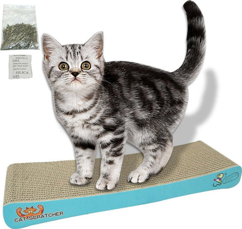 TIRAGRAFFI IN CARTA CARTONE GATTA PER UNGHIE GATTO GIOCO TIRA GRAFFI 50 X 22 CM Prodotti per animali domestici/Gatti/Lettini accessori per il letto e mobili/Colonne tiragraffi Trade Shop italia - Napoli, Commerciovirtuoso.it