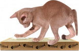 Tiragraffi Nobleza Per Gatti Cartone Profumato 38.2 X 23 X 4 Cm Fishing Box Prodotti per animali > Prodotti per Gatti > Tiragraffi Trade Shop italia - Napoli, Commerciovirtuoso.it