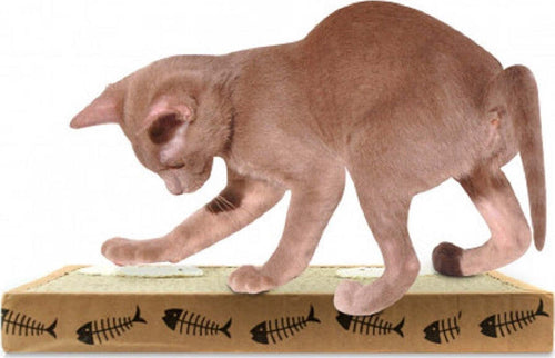Tiragraffi Nobleza Per Gatti Cartone Profumato 38.2 X 23 X 4 Cm Fishing Box Prodotti per animali > Prodotti per Gatti > Tiragraffi Trade Shop italia - Napoli, Commerciovirtuoso.it
