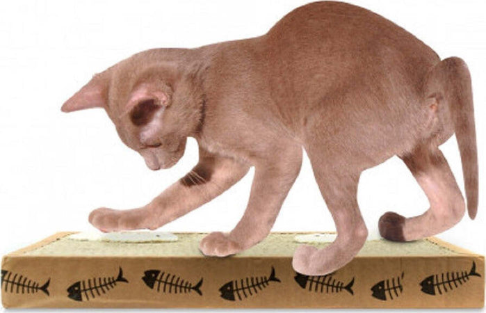 Tiragraffi Nobleza Per Gatti Cartone Profumato 38.2 X 23 X 4 Cm Fishing Box Prodotti per animali > Prodotti per Gatti > Tiragraffi Trade Shop italia - Napoli, Commerciovirtuoso.it