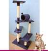 TIRAGRAFFI PER GATTI ALBERO PARCO GIOCHI GIOCO TIRA GRAFFI GATTO H137 CM Prodotti per animali domestici/Gatti/Lettini accessori per il letto e mobili/Colonne tiragraffi Trade Shop italia - Napoli, Commerciovirtuoso.it