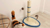 TIRAGRAFFI PER GATTI CORDA CON PALLINA TOPOLINO ALBERO SISAL GATTO TIRA GRAFFI Prodotti per animali domestici/Gatti/Lettini accessori per il letto e mobili/Colonne tiragraffi Trade Shop italia - Napoli, Commerciovirtuoso.it