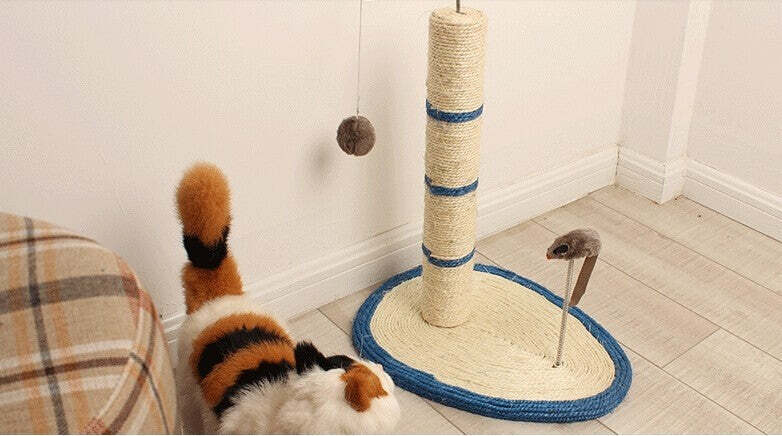 TIRAGRAFFI PER GATTI CORDA CON PALLINA TOPOLINO ALBERO SISAL GATTO TIRA GRAFFI Prodotti per animali domestici/Gatti/Lettini accessori per il letto e mobili/Colonne tiragraffi Trade Shop italia - Napoli, Commerciovirtuoso.it