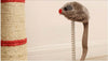 TIRAGRAFFI PER GATTI CORDA CON PALLINA TOPOLINO ALBERO SISAL GATTO TIRA GRAFFI Prodotti per animali domestici/Gatti/Lettini accessori per il letto e mobili/Colonne tiragraffi Trade Shop italia - Napoli, Commerciovirtuoso.it