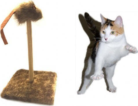 TIRAGRAFFI TIRA GRAFFI CON MOLLA TOPINO OSCILLANTE PELUCHE GIOCO PER GATTI GATTO Prodotti per animali domestici/Gatti/Lettini accessori per il letto e mobili/Colonne tiragraffi Trade Shop italia - Napoli, Commerciovirtuoso.it