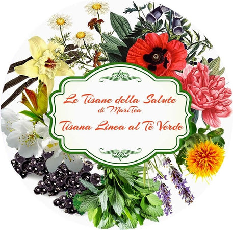 Tisana Linea al Tè Verde Lattina degustazione Alimentari e cura della casa/Caffè tè e bevande/Tè e tisane/Tè in confezione regalo MariTea bottega del Tè - Lodi, Commerciovirtuoso.it