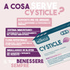 cysticle-1