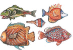 TO-DO---CARTA-DECOUPAGE-MINI-SOFT-PAPER-COLOURFUL-FISHES-1-25X35CM