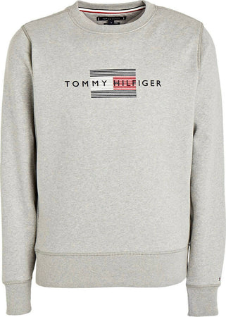 Tommy Hilfiger Felpa Uomo Girocollo Senza Cappuccio Felpa Maxi Logo Stampato Tinta Unita To122s0ci-k11 Lines Hilfiger Crew-neck Knit Moda/Uomo/Abbigliamento/Felpe/Felpe senza cappuccio Euforia - Bronte, Commerciovirtuoso.it
