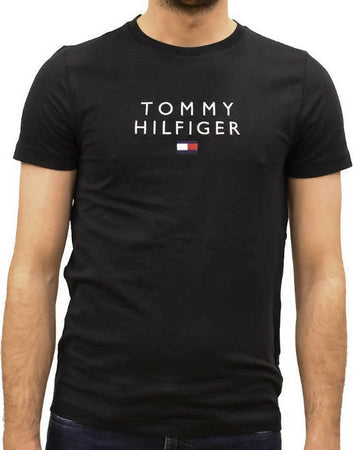 Tommy Hilfiger T-shirt Uomo Core Logo Tee Mw0 Mw11465 Regular Fit Maglia Mezze Maniche Tinta Unita Moda/Uomo/Abbigliamento/T-shirt polo e camicie/T-shirt Euforia - Bronte, Commerciovirtuoso.it