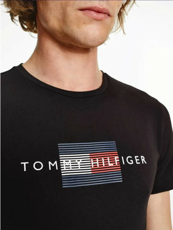 Tommy Hilfiger T-shirt Uomo Lines Maglia Mezze Maniche Girocollo Con Logo Stampa Bandiera Maglietta Tinta Unita Tommy Mw0 Mw20164 Regular Fit Moda/Uomo/Abbigliamento/T-shirt polo e camicie/T-shirt Euforia - Bronte, Commerciovirtuoso.it