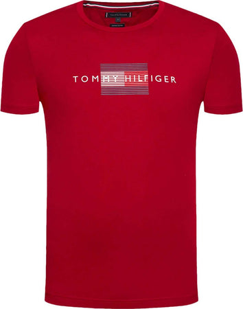 Tommy Hilfiger T-shirt Uomo Lines Maglia Mezze Maniche Girocollo Con Logo Stampa Bandiera Maglietta Tinta Unita Tommy Mw0 Mw20164 Regular Fit Moda/Uomo/Abbigliamento/T-shirt polo e camicie/T-shirt Euforia - Bronte, Commerciovirtuoso.it