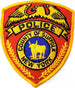 Toppa Patch Polizia Di Suffolk Distintivo Ricamato 7,5 X 10 Cm Sport e tempo libero/Fan Shop/Abbigliamento/Accessori/Toppe Il Distintivo - Pesaro, Commerciovirtuoso.it