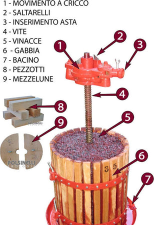 Torchio per vinacce a Cricco con bacino in acciaio stampato robusti rinforzi Casa e cucina/Elettrodomestici per la cucina/Elettrodomestici speciali/Macinini La Zappa - Altamura, Commerciovirtuoso.it