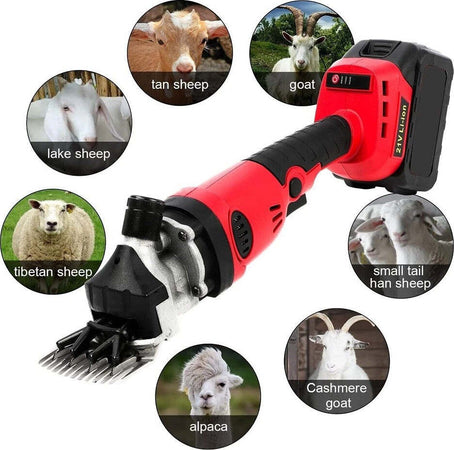 Tosapecore Tosatrice Ricaricabile Tosa Pecore Ovini Doppia Batteria 21v 07007 Commercio Industria e Scienza/Attrezzature e forniture agricole/Prodotti per cavalli/Cura del cavallo/Tosatrici Trade Shop italia - Napoli, Commerciovirtuoso.it