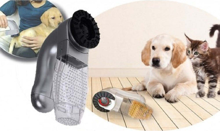 Tosatrice 2in1 Rimuove Peli In Eccesso Massaggia Per Cane Gatto Shed Indolore Prodotti per animali > Prodotti per Cani > Tosatrici per cani Trade Shop italia - Napoli, Commerciovirtuoso.it