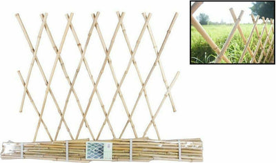 Traliccio Bamb? Rete Estensibile Piante Rampicanti Staccionata 180x120 Cm 129694 Articoli da Giardino > Arredo giardino > Prodotti Da Esterno Trade Shop italia - Napoli, Commerciovirtuoso.it