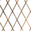 Traliccio Rete Bamb? Bamboo 180 X 60 Cm Estensibile Bamboo Piante Rampicanti Giardino e giardinaggio/Giardinaggio/Letti rialzati per giardino e strutture di supporto/Graticolati Trade Shop italia - Napoli, Commerciovirtuoso.it