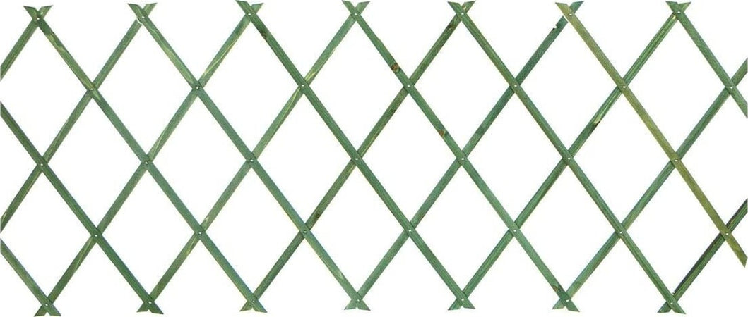 Traliccio Rete Estensibile In Legno Verde Per Parete Da Giardino Piante 180x30cm Arredo giardino Trade Shop italia - Napoli, Commerciovirtuoso.it