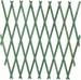 Traliccio Rete Estensibile In Legno Verde Per Parete Da Giardino Piante 300x100 Arredo giardino Trade Shop italia - Napoli, Commerciovirtuoso.it